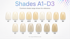 Chroma Chameleon Shade Guide A1-D3